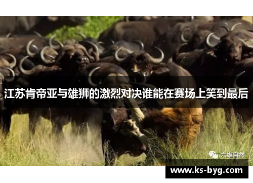 江苏肯帝亚与雄狮的激烈对决谁能在赛场上笑到最后