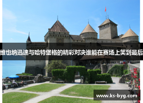 维也纳迅速与哈特堡格的精彩对决谁能在赛场上笑到最后