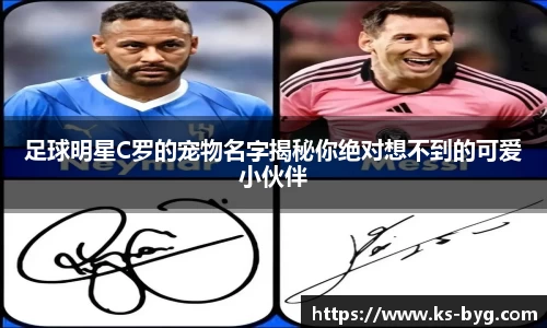 好博体育登录入口